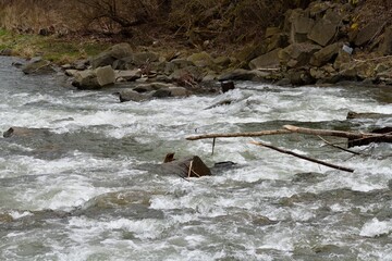 Dangerous rocks and waves of a wild river