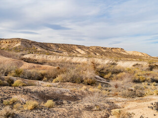 Sunny view of a desert style park