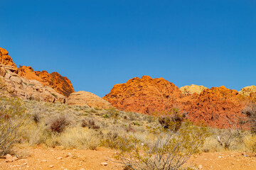 Sunny view of the landscape in Calico Basin Trail