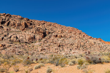 Fototapeta na wymiar Sunny view of the landscape in Calico Basin Trail