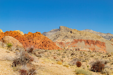 Sunny view of the landscape in Calico Basin Trail