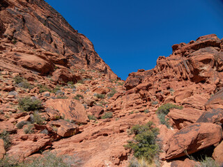 Fototapeta premium Sunny view of the landscape in Calico Basin Trail