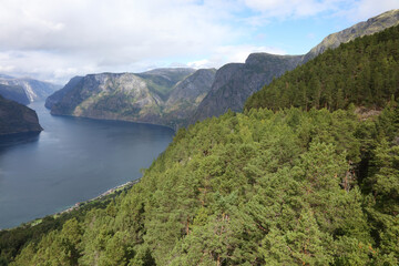 Obraz na płótnie Canvas Norwegen - Aurlandsfjord / Norway - Aurlandsfjorden /