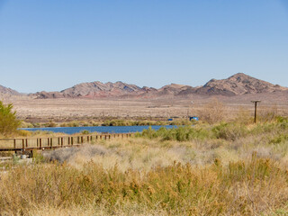 Sunny view of the landscape in Henderson Bird Viewing Preserve
