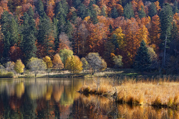étang des Vosges en automne