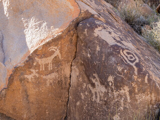 Sunny view of the landscape in Petroglyph Canyon Trail