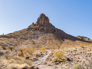 Sunny view of the landscape in Petroglyph Canyon Trail
