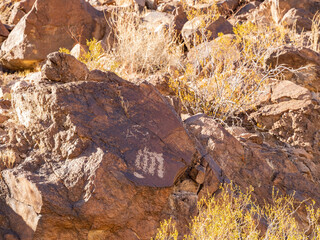 Sunny view of the landscape in Petroglyph Canyon Trail