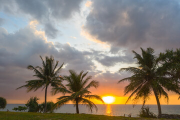 Obraz premium aerial view scenery sunset above coconut trees during colorful .cloud in sunset on Karon beach Phuket Thailand. Scene of Colorful light in the sky background.
