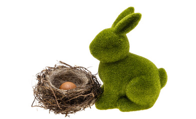 bird's nest with egg isolated