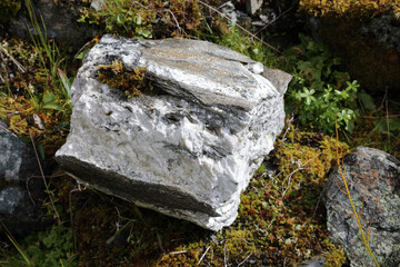 Obraz premium Norwegen - Felsen nahe Fresvik / Norway - Rock near Fresvik /