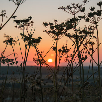 Sunset At Butser Hill