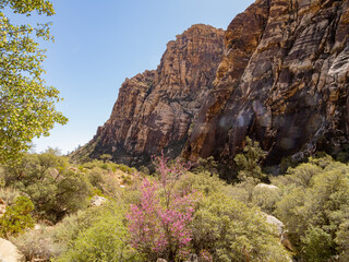 Sunny view of the landscape of Red Rock Canyon