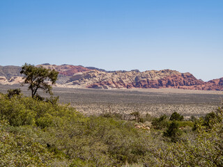 Sunny view of the landscape of Red Rock Canyon