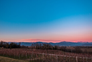 Obraz premium Winter sunset in the vineyards of Collio Friulano