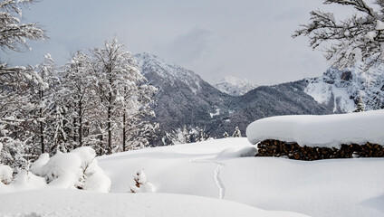 Trekking after a snowfall in the Julian Alps, Friuli-Venezia Giulia, Italy