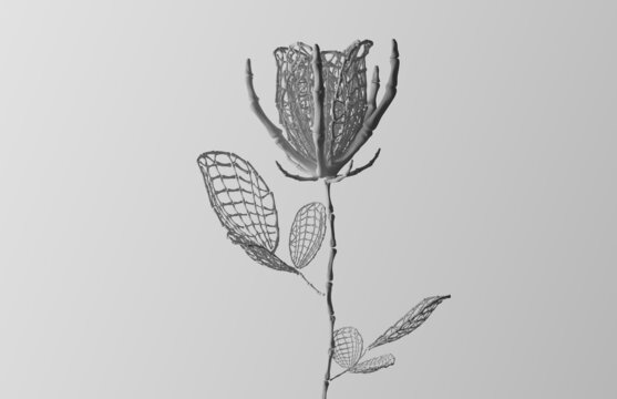 Skeleton Flower