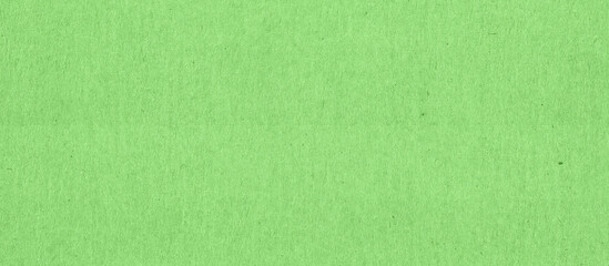 Obraz na płótnie Canvas green texture