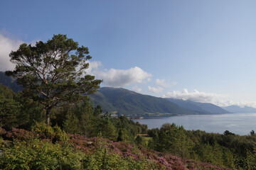 Norwegen - Sognefjord bei Nordrevik / Norway - Sognefjorden near Nordrevik /