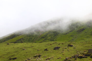 green and mist in Himalayan valley