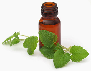 Lemon balm with essential oil