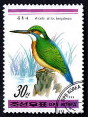 common kingfisher Latin Alcedo atthis on postage stamp printed in Korea