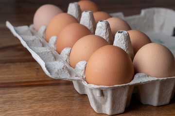 pack of fresh chicken eggs