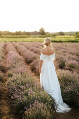Fototapeta na wymiar the bride in a white dress on the lavender field
