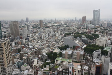 Fototapeta premium Tokyo Skyline