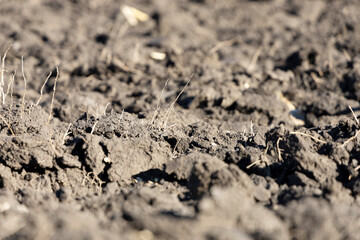 Field after harvest. Plowed land. Chernozem close up
