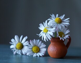 Background with white wildflowers - daisy bellis in the vase  Bellis perennis © ramona georgescu