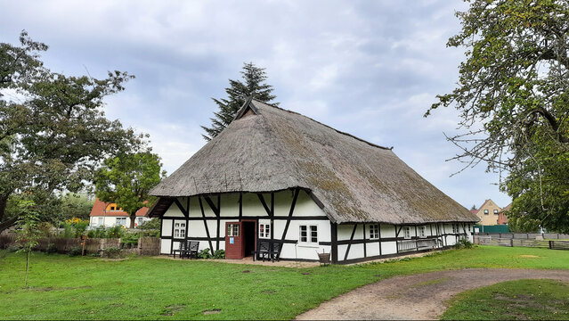 Extrem gro&szlig;es Fachwerkhaus mit riesigem breiten Rispengras . M&auml;chtige H&uuml;tte mit Reeddach vor bew&ouml;lktem grauen Himmel . Ostfriesland in Deutschland . Historisch denkmalgesch&uuml;tzt Geb&auml;ude Sanierung .
