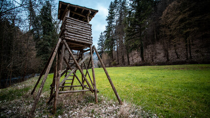 Naklejka premium Im Nordschwarzwald
