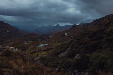 Road crossing Cajas
