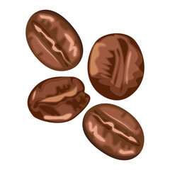 Coffee beans illustration isolated vector concept