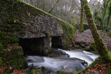 A bridge at Kennall Vale Cornwall