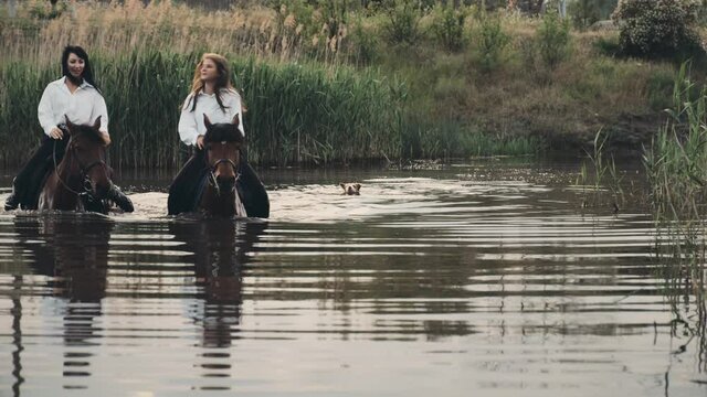 Happy women friends in loose white shirts ride horses wading across river with reeds while dog swims following on summer day