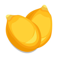 Corn grains farming isolated concept illustration vector