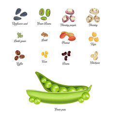 Legumes and vegetables vector illustration food grains concept