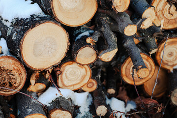 Close-up of sawed logs. Firewood covered with snow stacked up in pile for kindle.