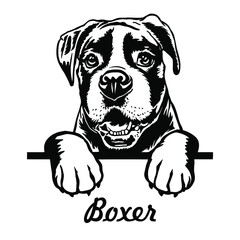 Boxer Peeking Dogs. Boxer puppy dog breed. black and white clipart of a dogs head isolated on a white background. The dog stuck out its tongue.