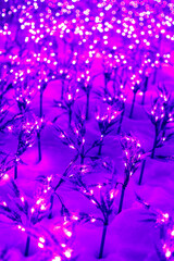 artificial plants stuck in the snow glowing with purple light.