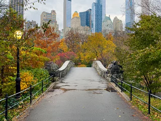 Foto op Plexiglas Gapstow Brug Gapstow Bridge in Central Park herfst