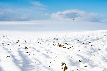 zima, pole pokryte śniegiem, niebieskie niebo, białe chmury