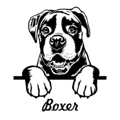 Boxer Peeking Dogs. Boxer puppy dog breed. black and white clipart of a dogs head isolated on a white background. The dog stuck out its tongue.