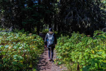 Fototapeta premium Female Hiker on The Grinnell Lake Trail, Glacier National Park, Montana, USA
