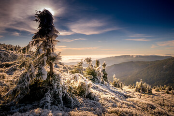 Scenic landscape with spruce trees covered with rime, view from a mounatin range to the valley...