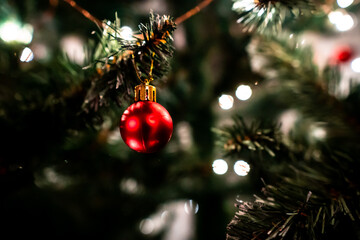 Bright red bauble is hanging on the twig of the Christmas fir filmed in closeup. Festive New Year tree is decorated with toys and flashing lights. Glittering garland and glowing balls are on the pine.