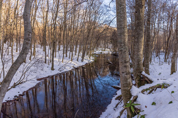 Towada in early winter