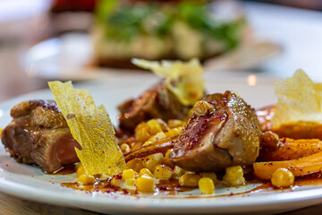 Stewed duck breast with vegetables and corn is on a plate.
